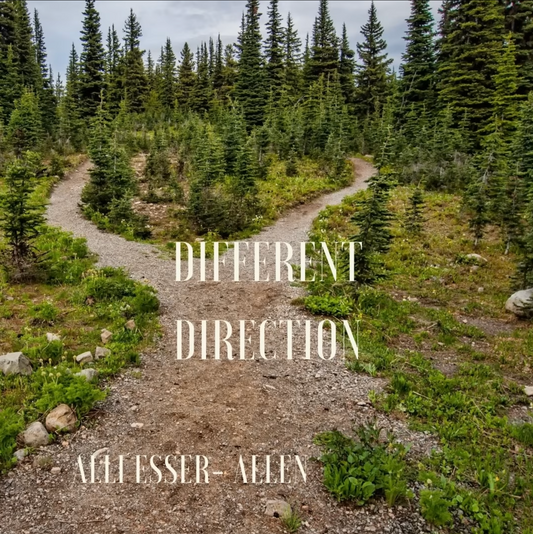 Alli Esser-Allen - Different Direction