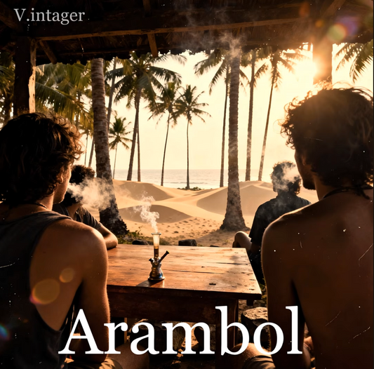 V.intager - Arambol single cover