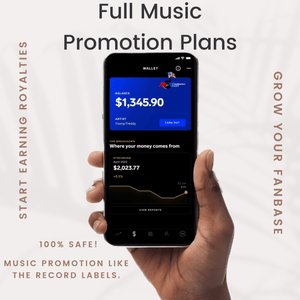 Music Promotion / Marketing Consulting & PR Campaign