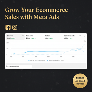 Meta Ads Consulting with Large Results Dashboard